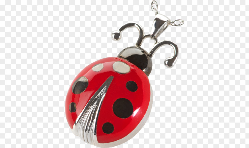 Ladybug Earrings Ladybird Beetle Earring Lucky Charms & Pendants Jewellery PNG