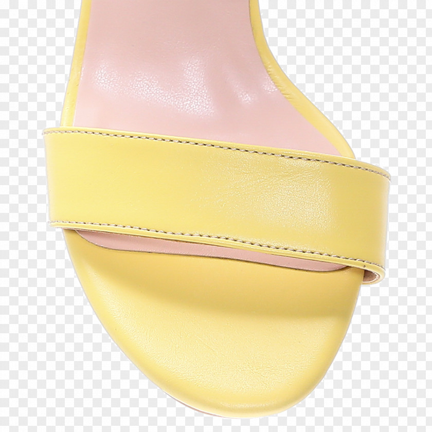 Sandal Shoe PNG