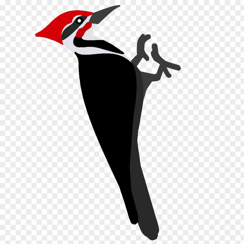 Bird Red-headed Woodpecker Clip Art PNG