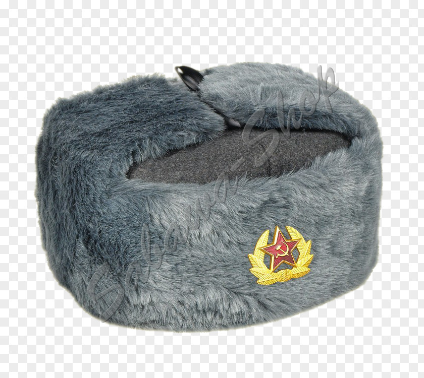 Cap Fur Ushanka Hat PNG