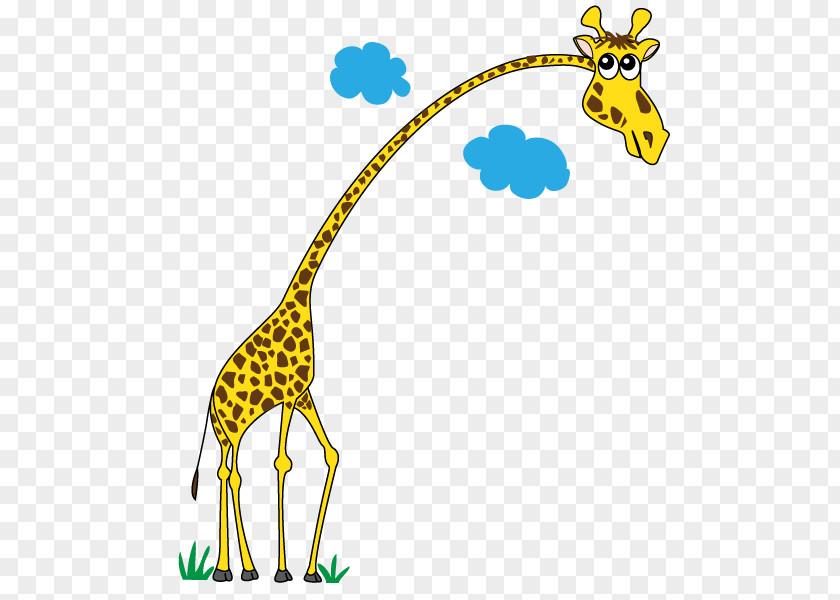 Giraffe Wildlife Terrestrial Animal Clip Art PNG