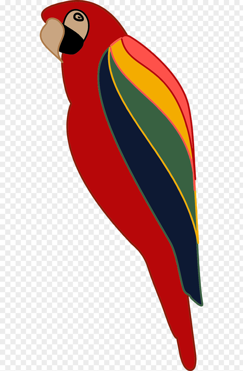 Parrot Clip Art PNG