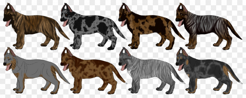 Please Do Not Litter Cat Dog Breed Tail Wildlife PNG