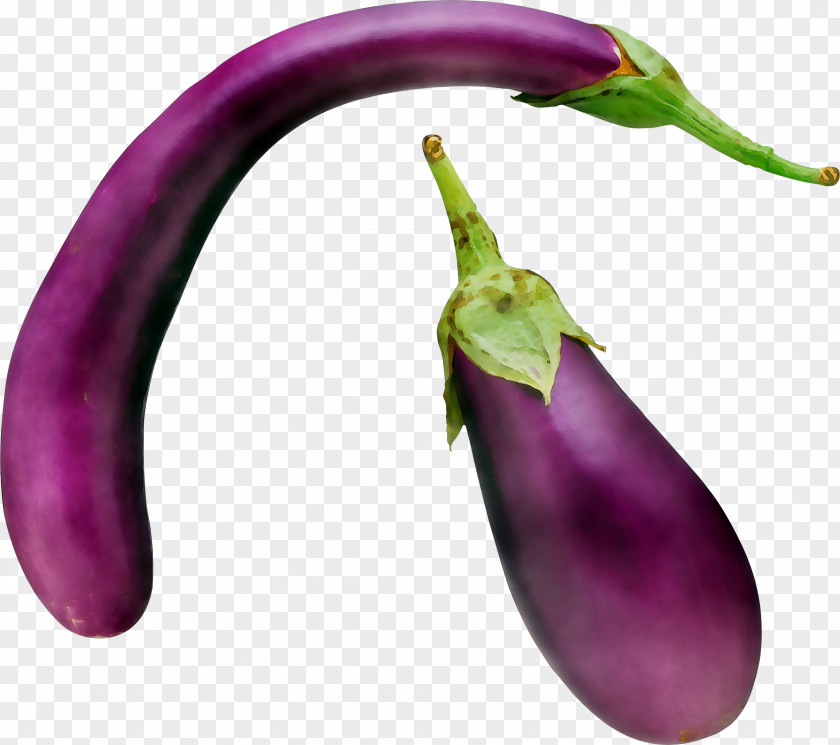 Serrano Pepper Pasilla Purple Sweet And Chili Peppers PNG