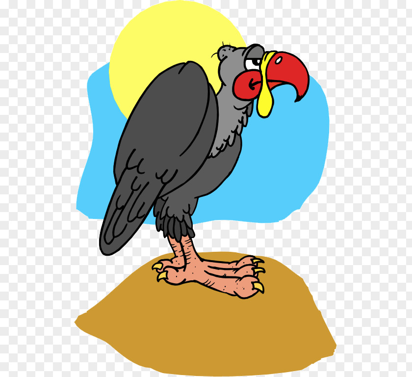 Velociraptor Macaw Hawk Buzzard Vulture Clip Art PNG