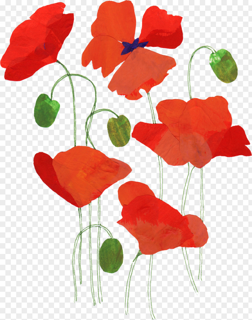 Birthday Poppy Greeting & Note Cards Wedding Invitation Gift PNG