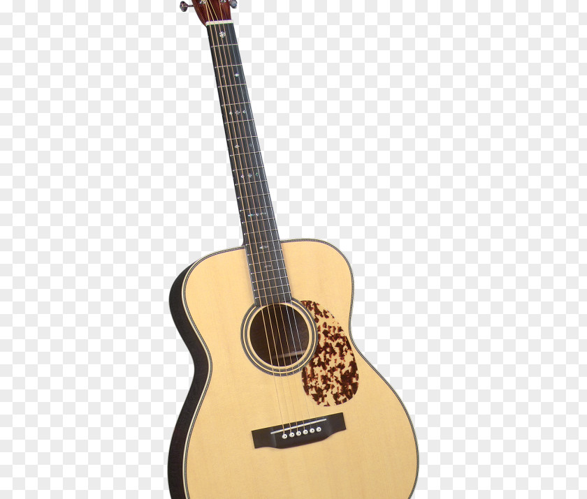 Guitar Steel-string Acoustic Dreadnought Musical Instruments PNG
