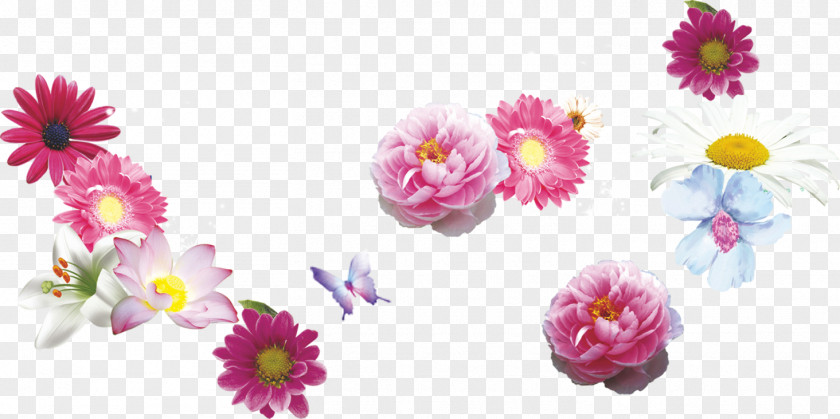 Chamomile Flower Chrysanthemum Floral Design Pink PNG