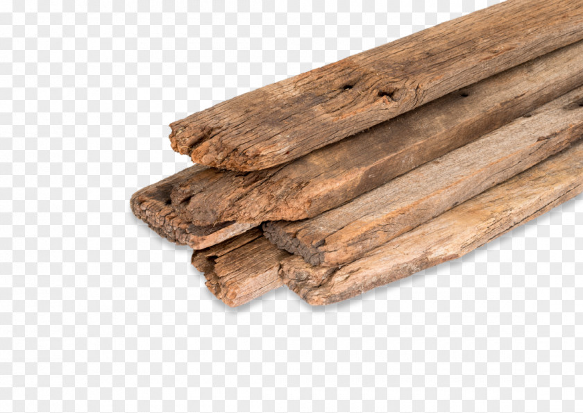 EUKALYPTUS Lumber PNG