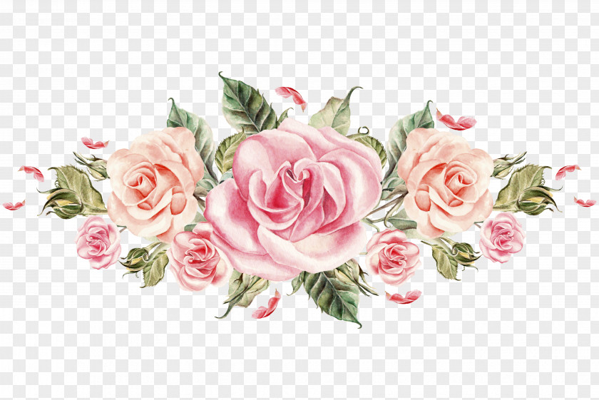Hand-painted Pink Roses Cluster PNG pink roses cluster clipart PNG