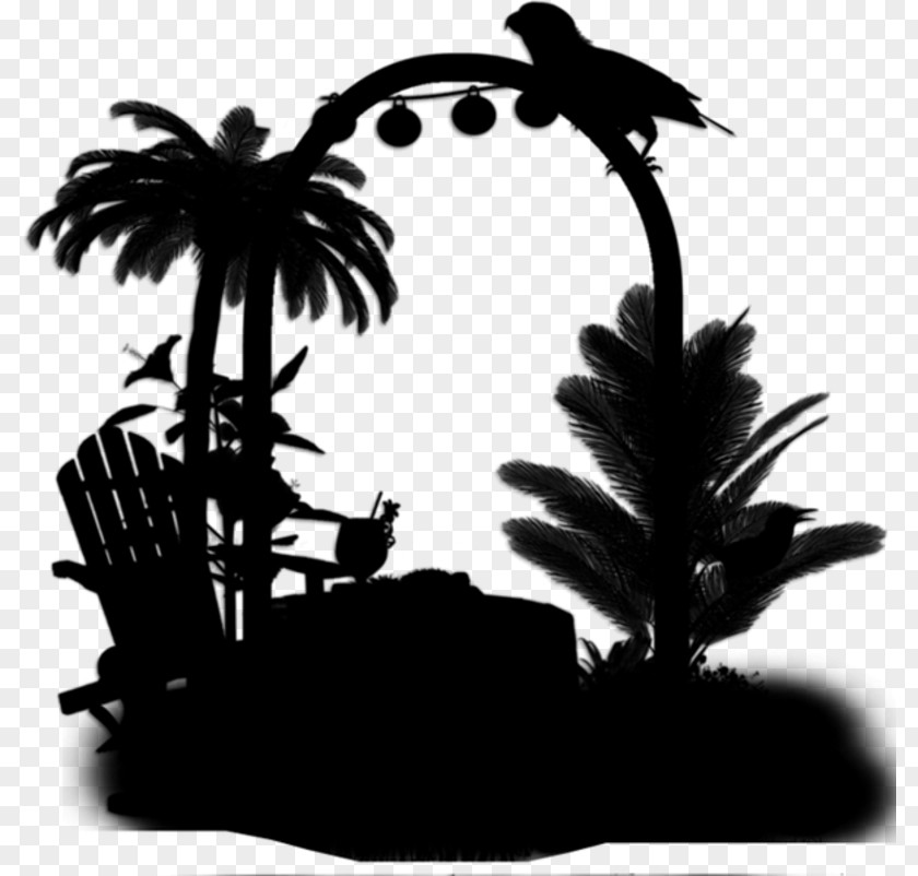 Palm Trees Silhouette PNG