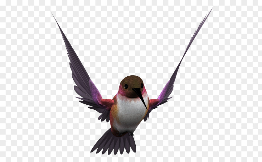 Parfait Bird Gongbi Illustration Flight Image PNG