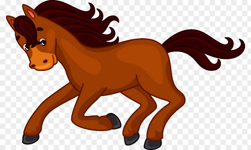 Pony Foal Mustang Stallion Cat PNG