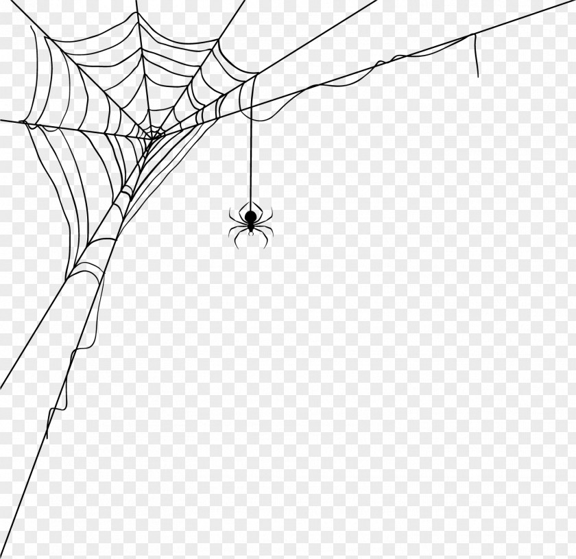 Spider Web Decoration Pattern World Wide Silk PNG