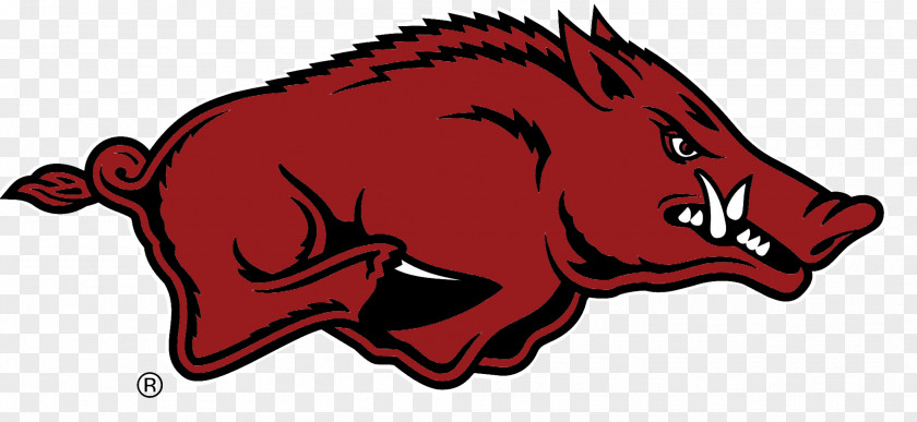 American Football University Of Arkansas Razorbacks Men's Basketball Women's Gymnastics PNG