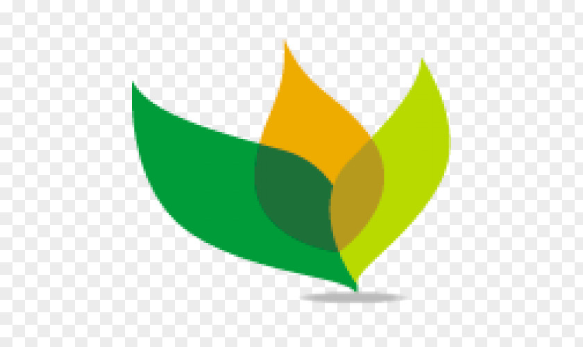 Cassava Startup Center PT Igrow Resources Indonesia Crop Jonggol Agriculture PNG