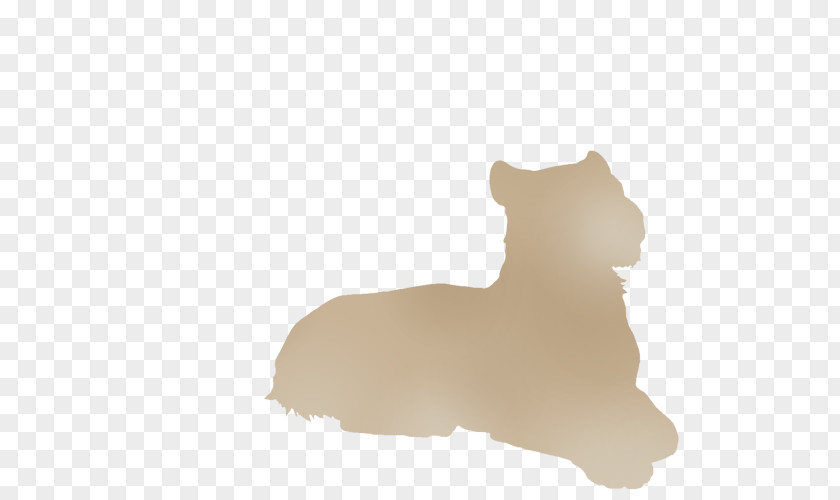 Lion Cat Puppy Cheetah Mane PNG