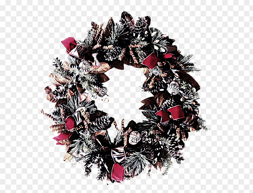 Scarf Plant Christmas Decoration PNG