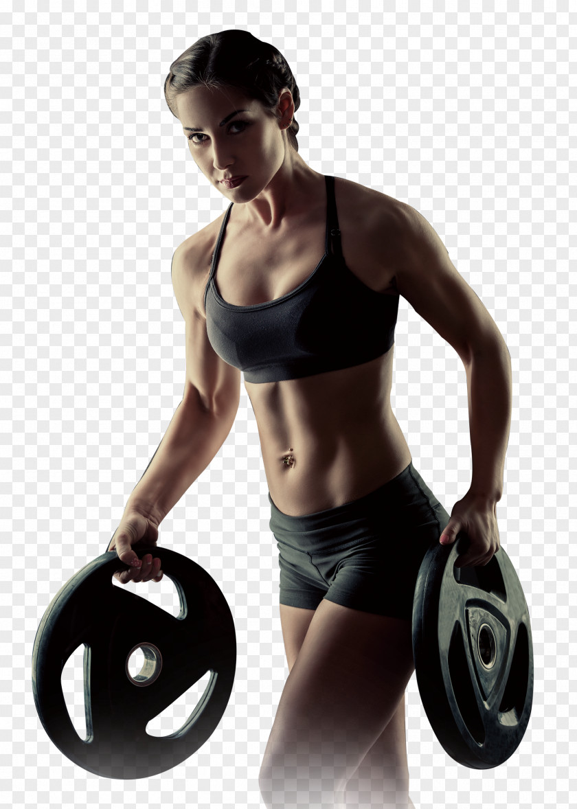 Sports Posters Weight Training Bodybuilding Physical Fitness PNG