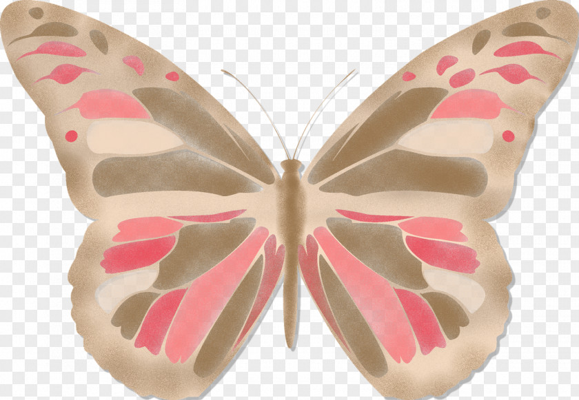 Butterfly Moth Pink M PNG