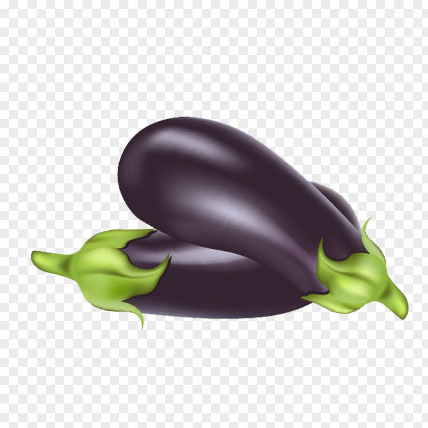 Eggplant Vegetable Baingan Bharta PNG