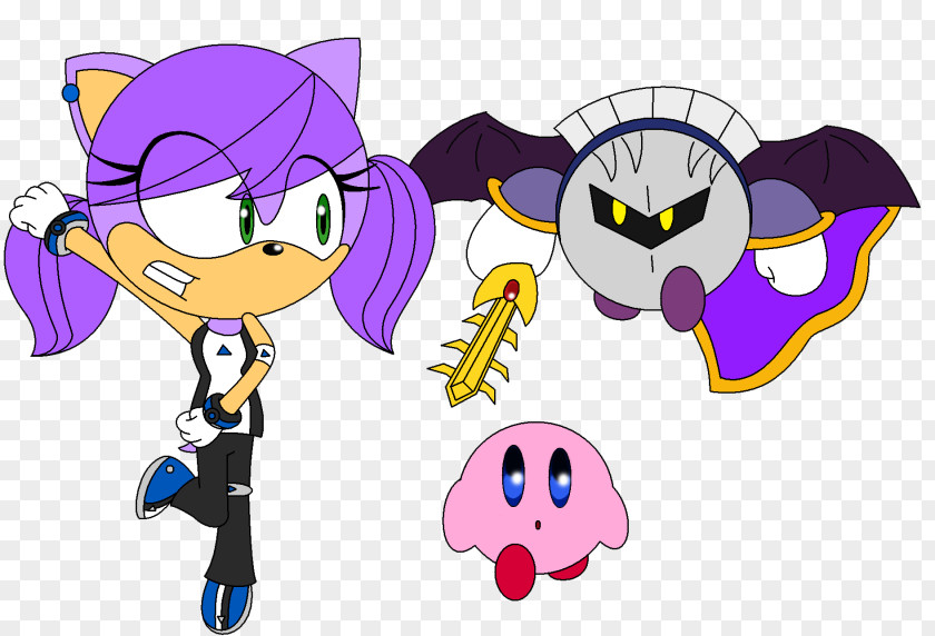 Kirby Meta Knight King Dedede Shadow The Hedgehog Rouge Bat PNG