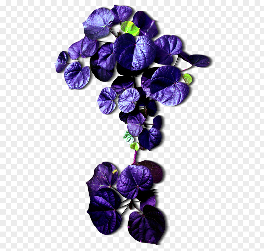 Leaf Cut Flowers Purple PNG