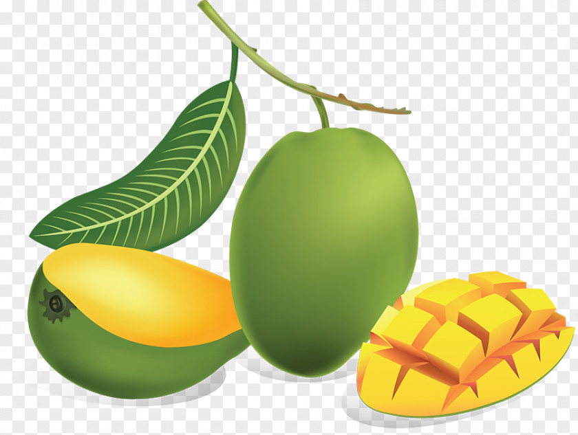 Green Mango Juice Fruit Drawing PNG