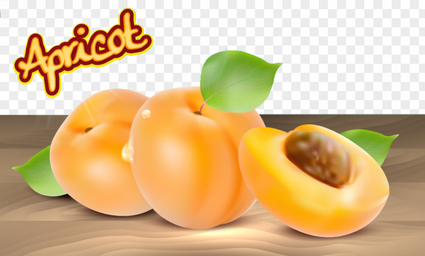 Number Of Apricots Apricot Fruit Euclidean Vector PNG