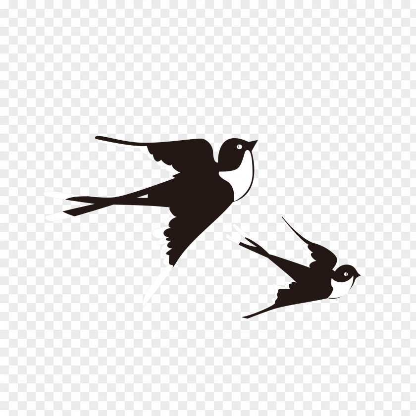 Swallows Fly Swallow Bird Lichun PNG