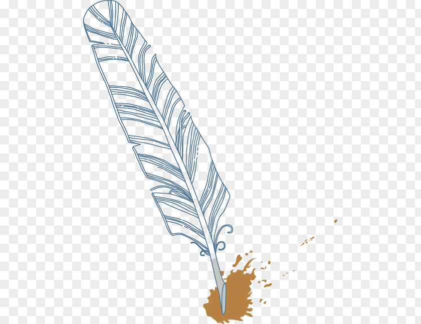Feathers Feather Quill PNG