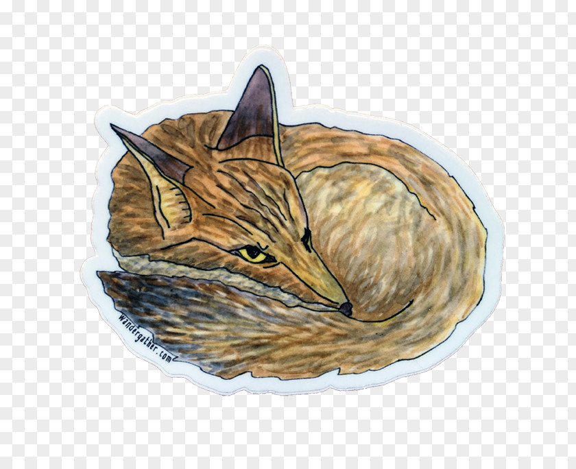 Sticker Instagram Illustration Whiskers Paper Cat Dog PNG