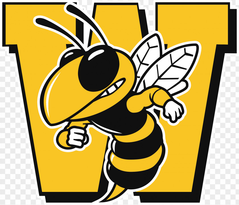 Wasp Wasatch High School Springville National Secondary Payson PNG