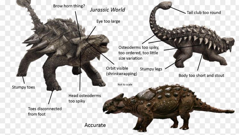 Ankylosaurus Warpath: Jurassic Park Tyrannosaurus Carnotaurus PNG