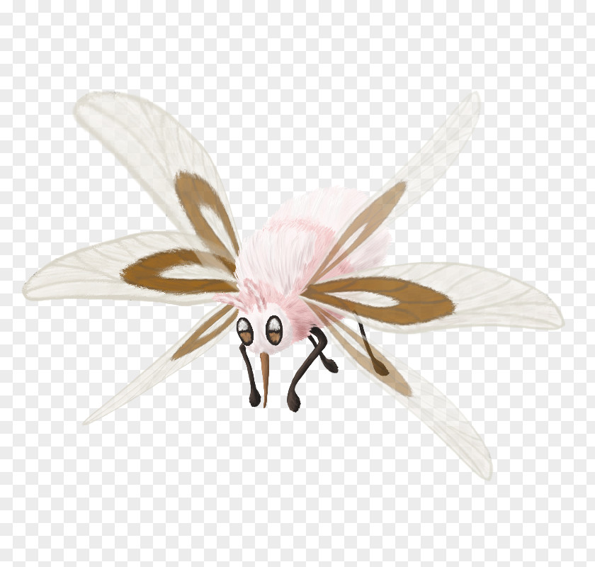 Bug Wings Flapping Drawing DeviantArt Digital Art Fan PNG