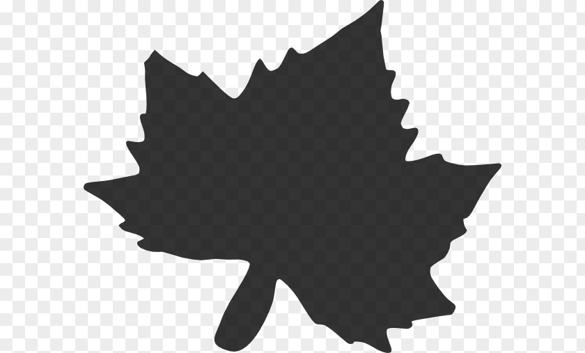 Clip Art Maple Leaf Image Landscapes PNG