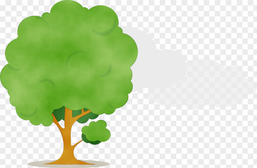 Leaf Vegetable Arbor Day Tree Green Meter PNG