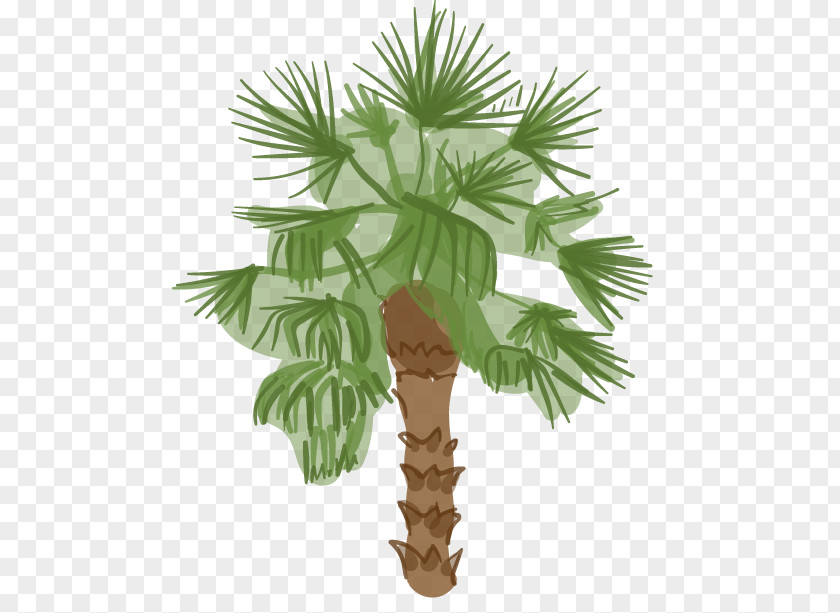 Date Palm Arecaceae Los Angeles Tree Woody Plant PNG