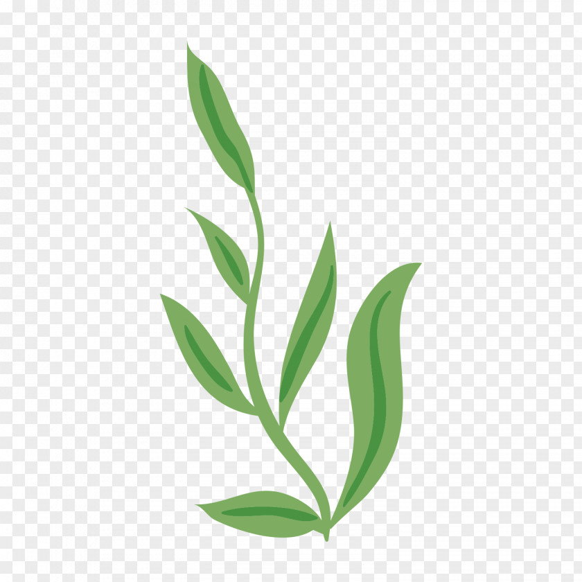 Green Plants Image Adobe Photoshop Leaf PNG