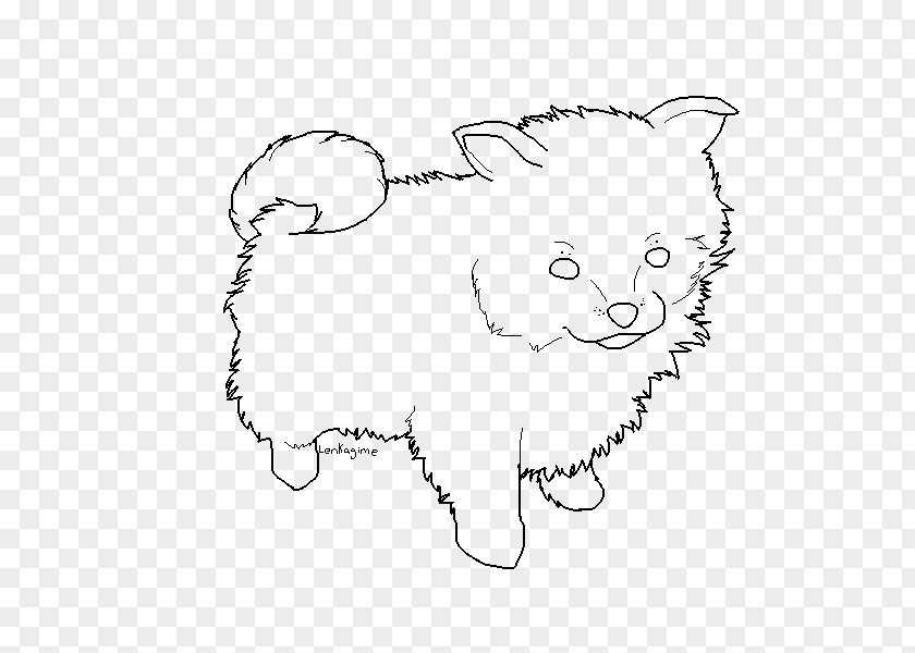 Pomeranian Boo Whiskers Line Art Drawing /m/02csf PNG