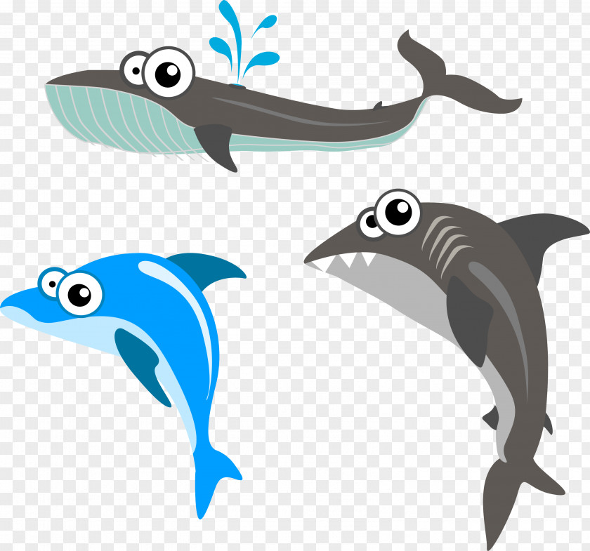Whale Cartoon PNG