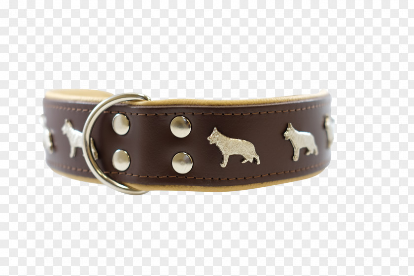 Belt Dog Collar Buckle Strap PNG