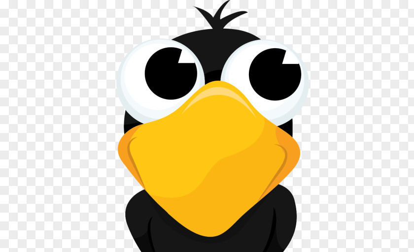 Cartoon Crow Bird Drawing PNG