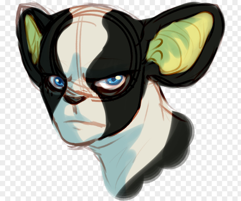 Cat Dog Glasses Snout Canidae PNG