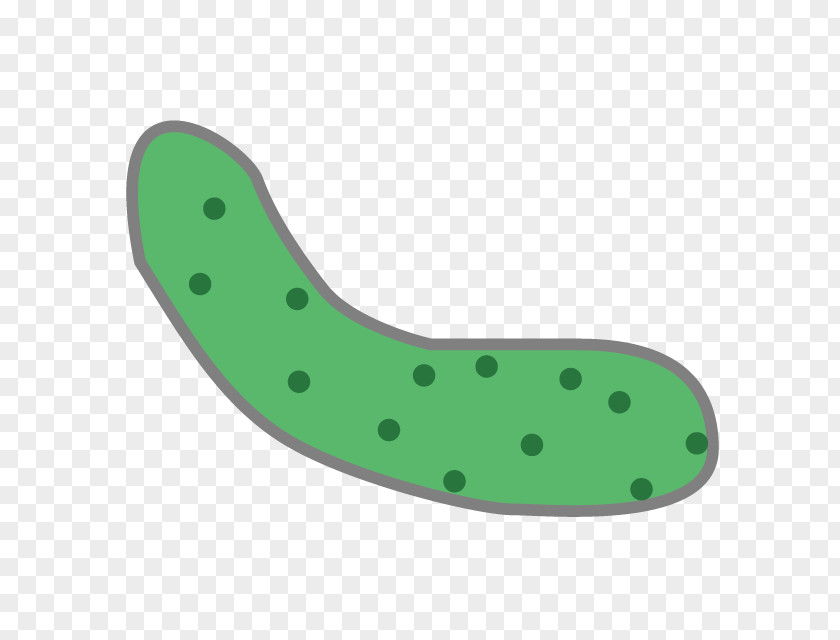 Cucumber Clip Art Illustration Sushi PNG