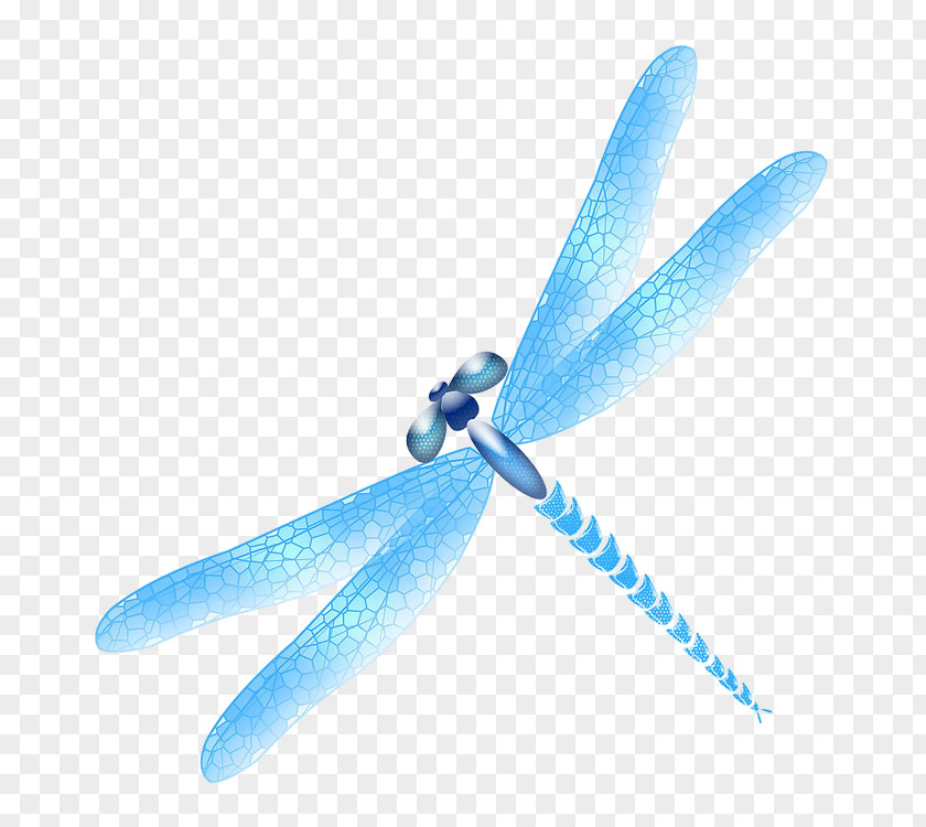 Dragonflies Dragonfly Insect Blue RGB Color Model PNG