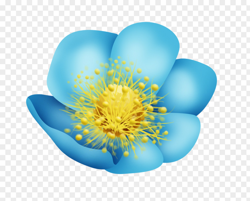 Flower Desktop Wallpaper Petal Clip Art PNG