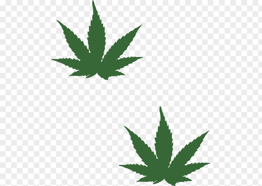 Marijuana Hash, Marihuana & Hemp Museum Cannabis Leaf Clip Art PNG