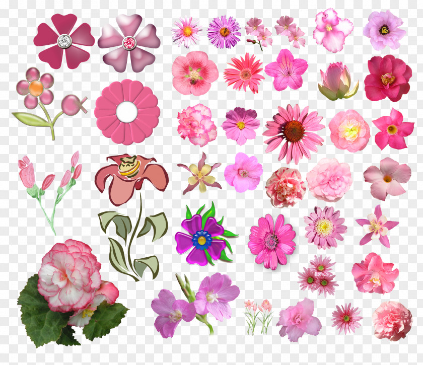 Pink Cut Flowers Floral Design PNG