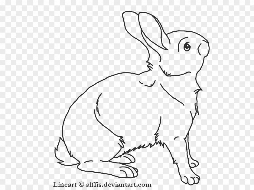 Rabbit Domestic Line Art Hare PNG